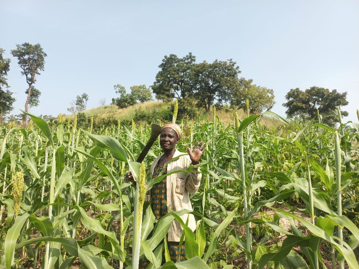 A farmer pausing in her field