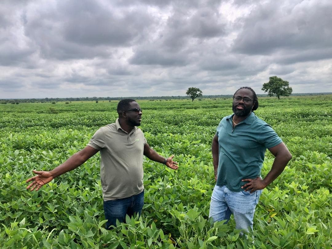 Inspecting crop vigor and weed suppression in the field