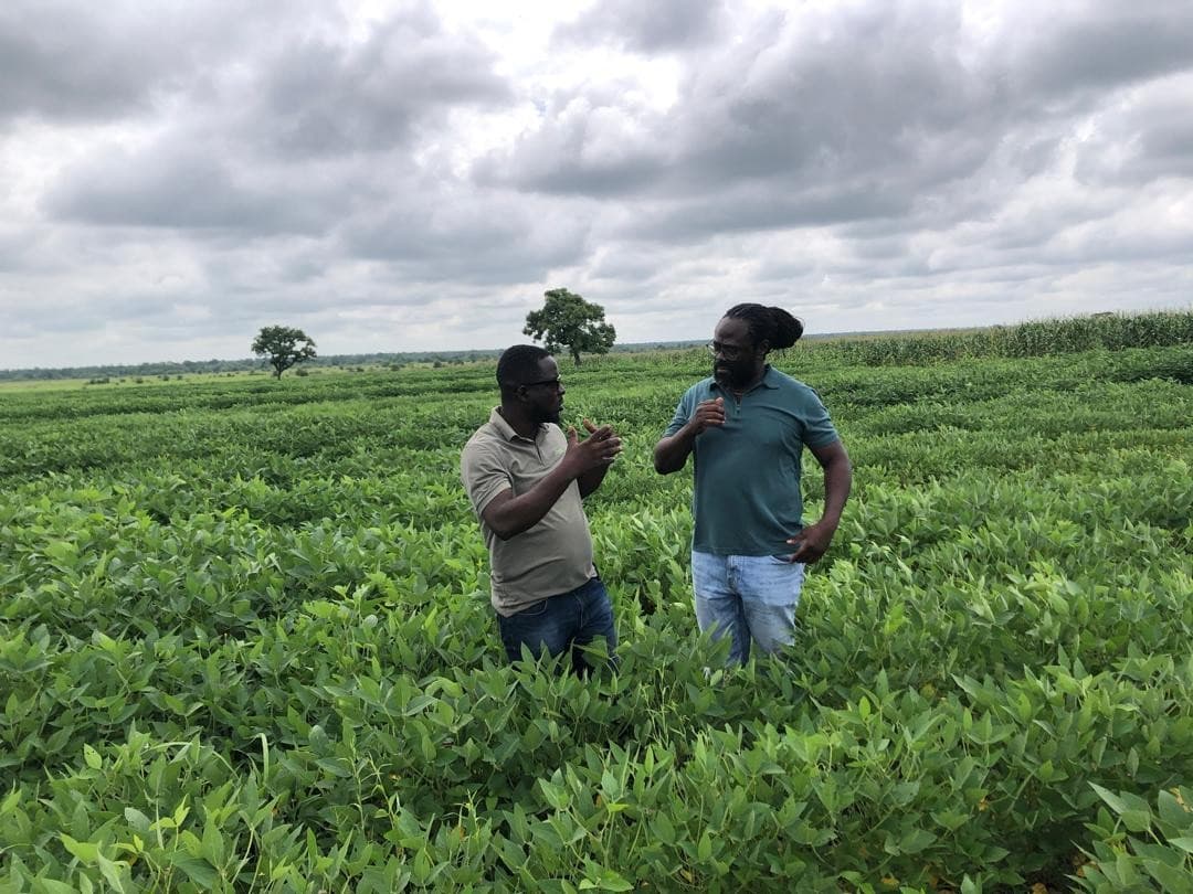 Leadership and investor partners reviewing soybean crop development
