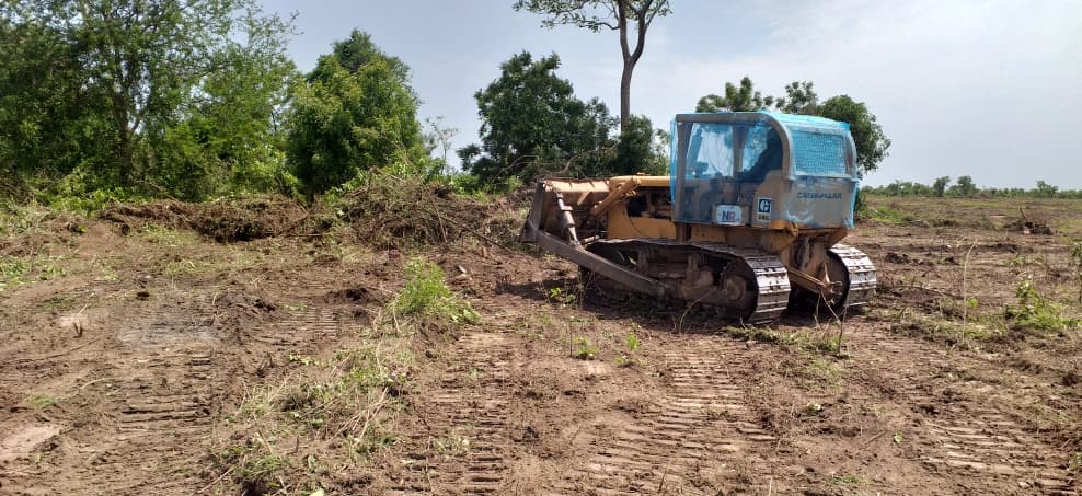 Bulldozer clearing new land for cultivation