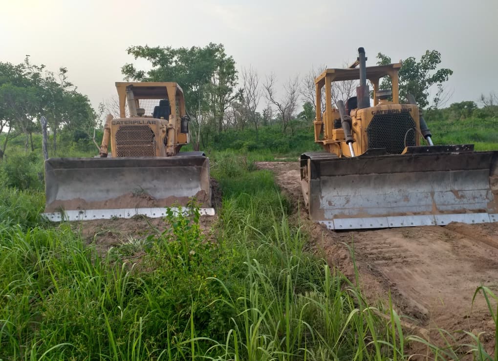 A pair of bulldozers clearing land side by side