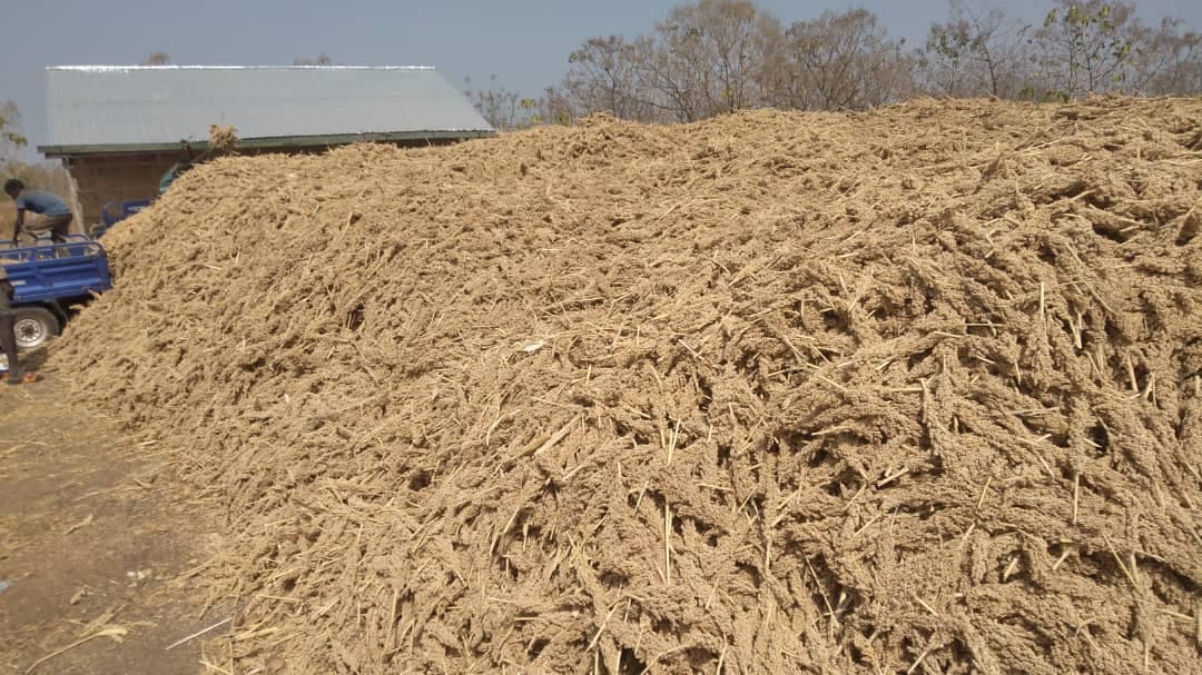 Threshed straw piled outside the store