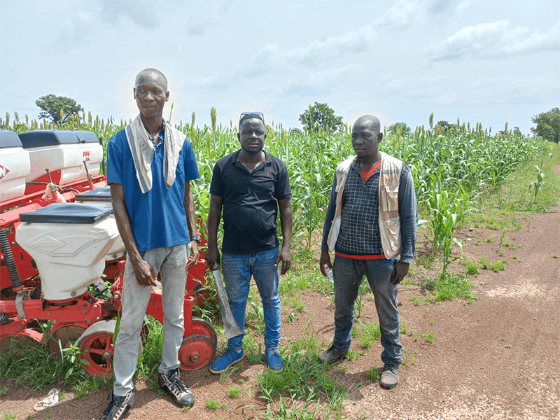 Team members working with mechanised planting equipment