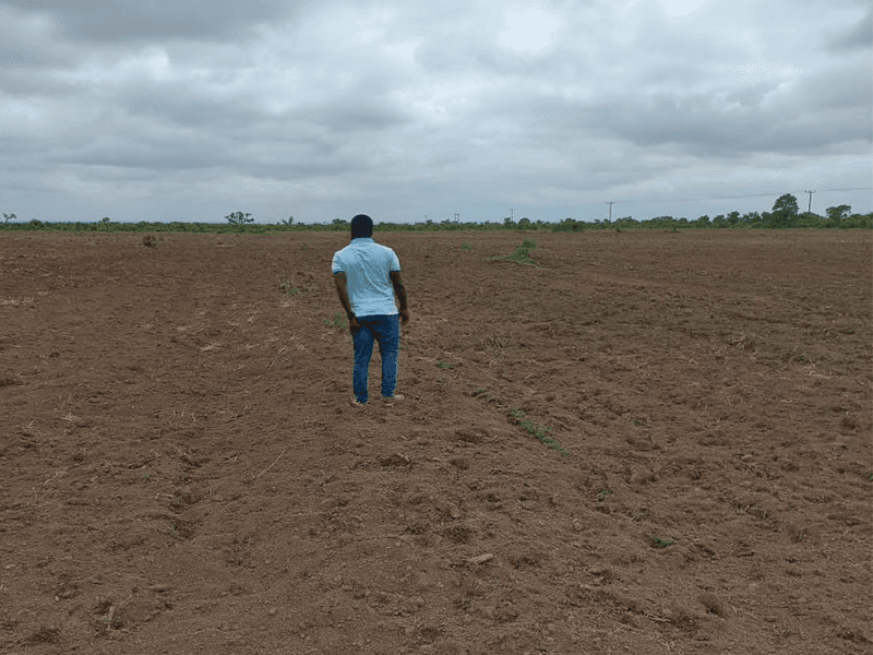 A worker inspecting a freshly tilled field