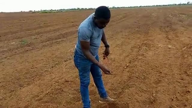 A worker inspecting a freshly tilled field