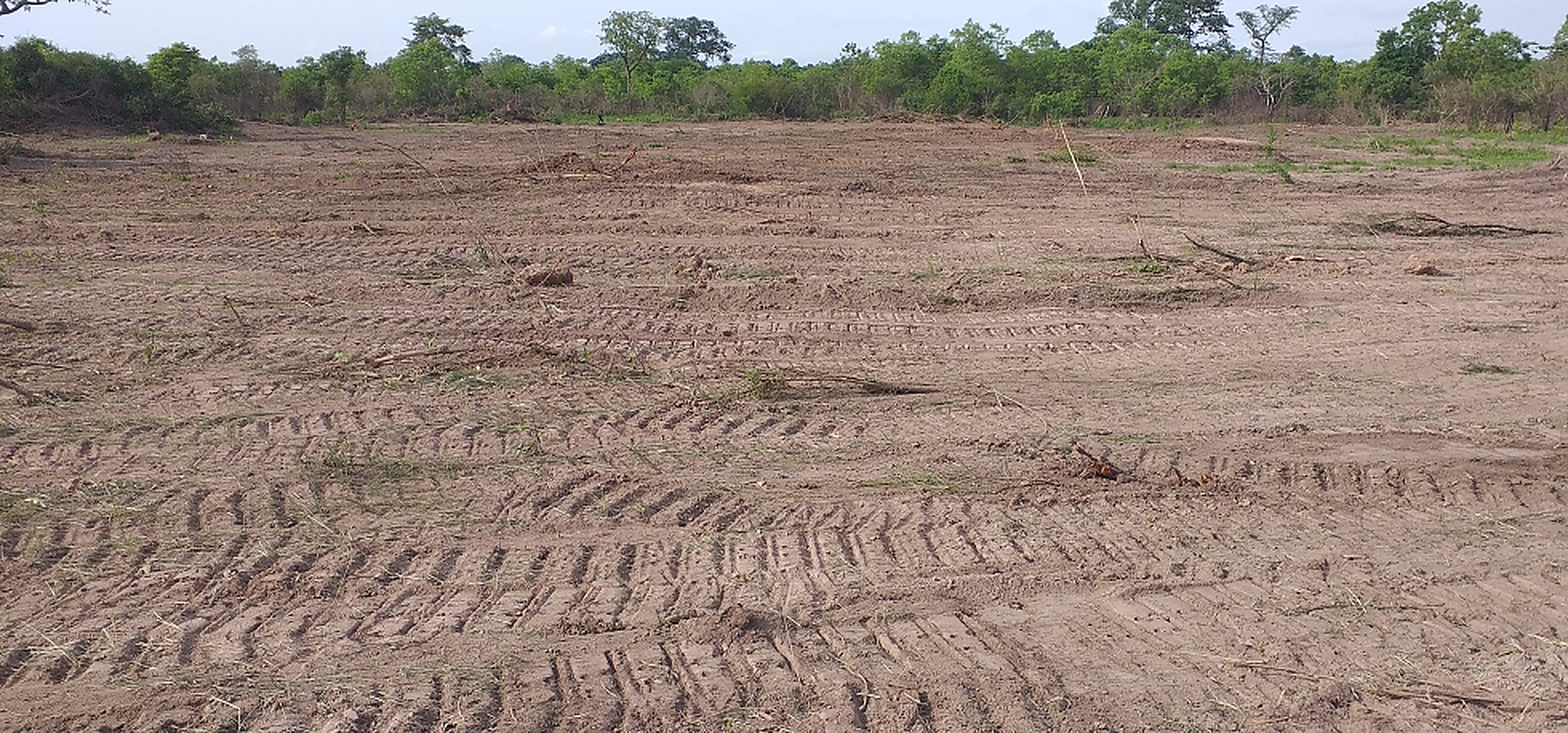 Wide view of active land-clearing operations